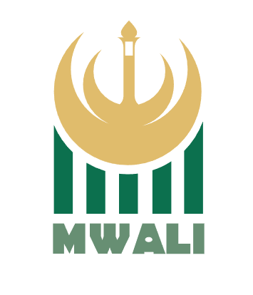 oversea capital markets lisans